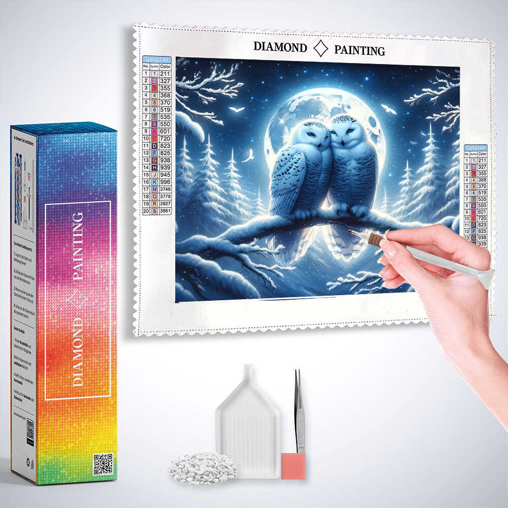 Diamond Painting - Schneeeulen Pärchen