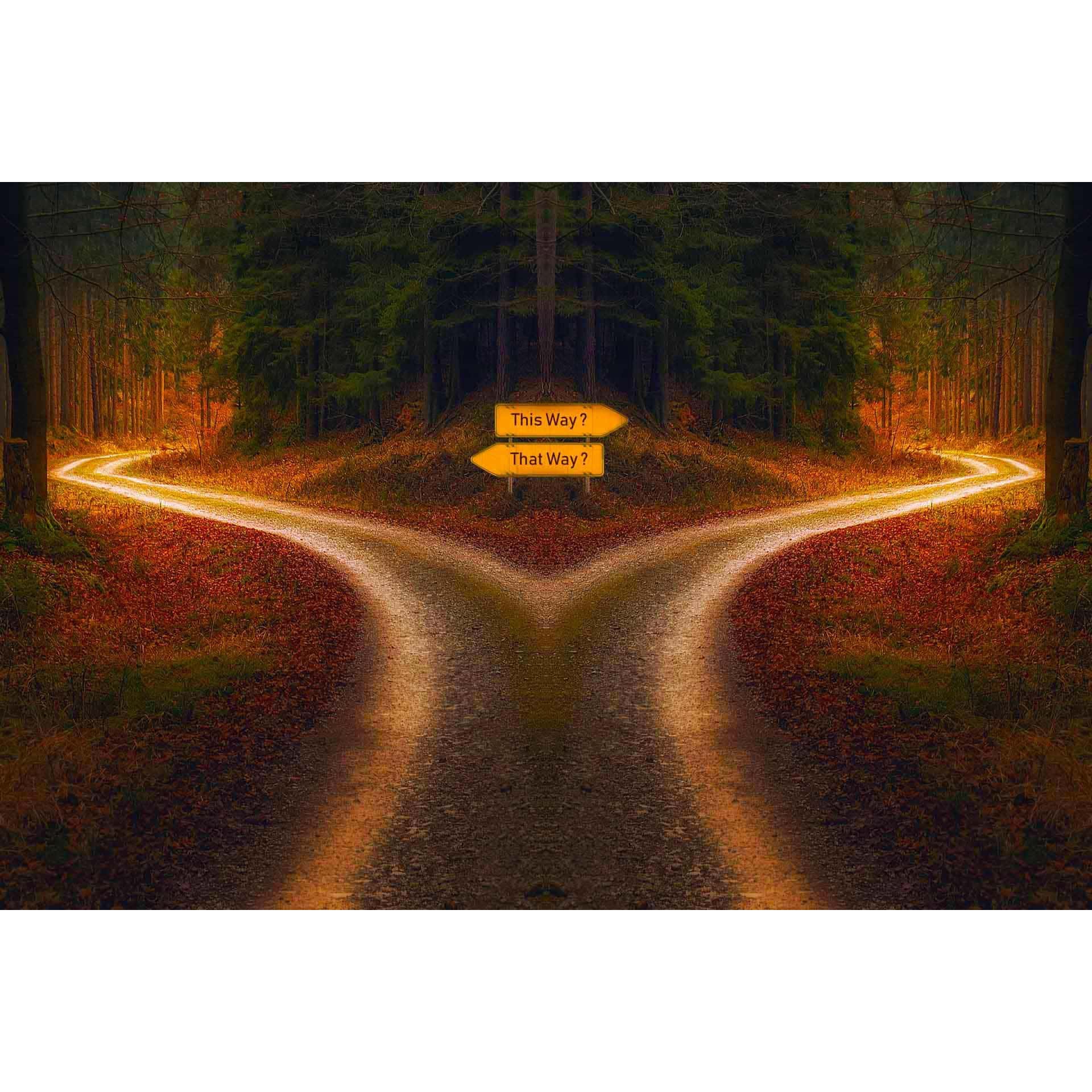 Diamond Painting - Weggabelung - gedruckt in Ultra-HD - Horizontal, Landschaft, Sprüche