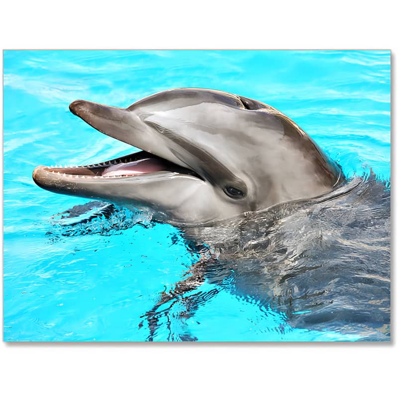 Diamond Painting - Delphin - gedruckt in Ultra-HD - delfin, tiere