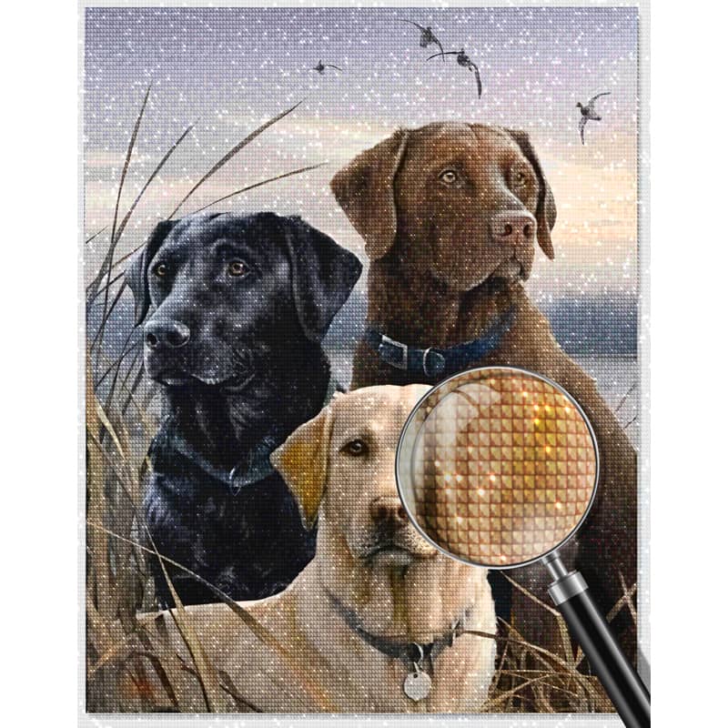 Diamond Painting - Goldenretriever, Labrador Trio - gedruckt in Ultra-HD - hund, tiere